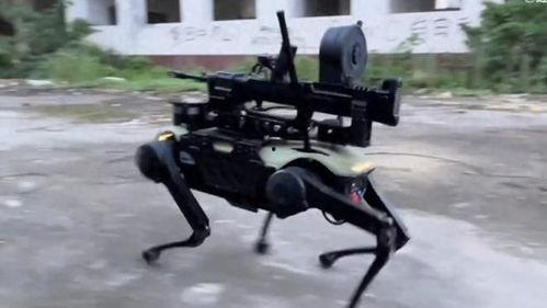 国产机械狗视频,智能宠物的未来风采